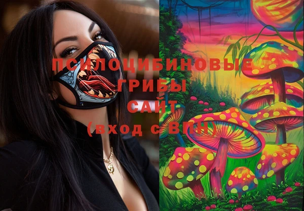 индика Анива