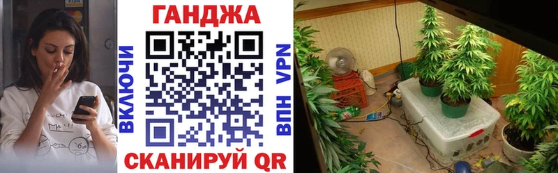 Канабис THC 21%  купить  цена  Ясный 